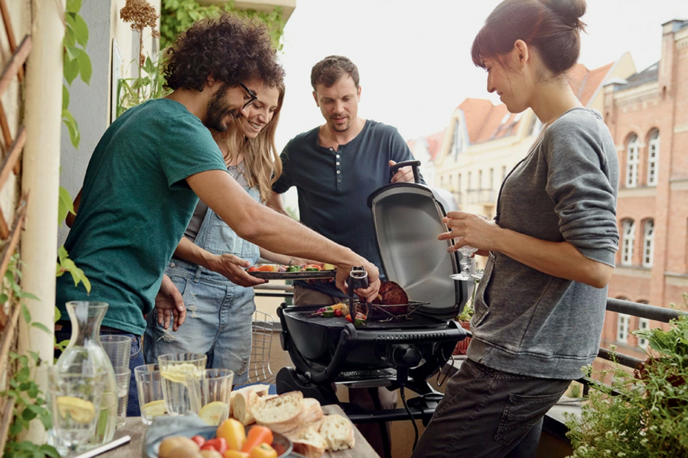 Weber Pulse 1000